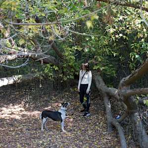 Exploring nearby trails.