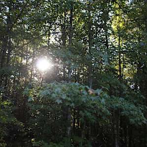 Sandy Ridge Camping