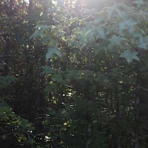 Sandy Ridge Camping