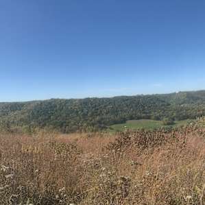 Views on the trail to King's Bluff