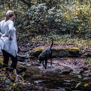 The pooch loved the creek! Mary also provides a crate for your dog companion to reside in while you cook, move things from your car, etc.