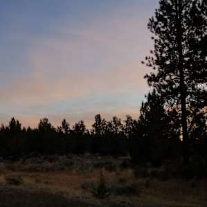 Oregon's Backyard Experience