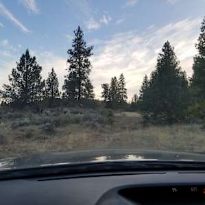 view from inside my car about to go up the hill towards the right