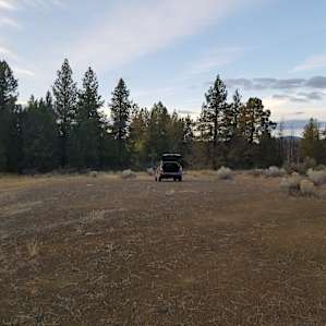 Oregon's Backyard Experience