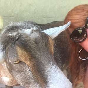 Laid Back Las Vegas Farm