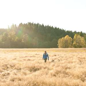 River had a great time bounding along in the tall grass.