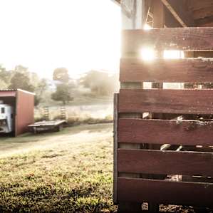 Sunset against the barn