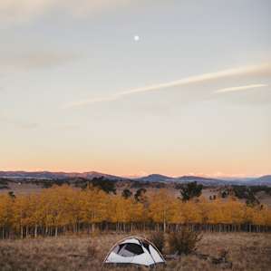 tent forest lodging
