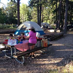 Nice wooded sites.