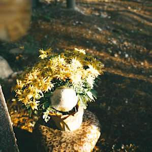 Some of the pretty plants used to decorate the deck!