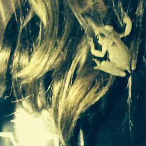 Tree frog in daughter's hair