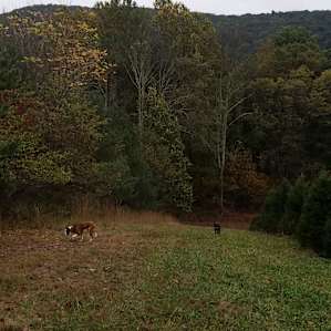 Girls enjoying exploring.