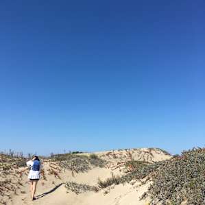 Morro Bay Campground