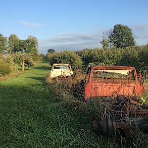 Organic Apple Orchard and Farm