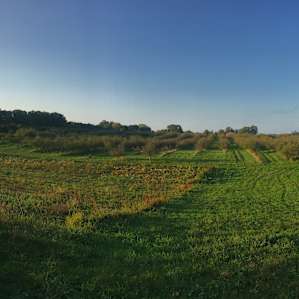 Organic Apple Orchard and Farm
