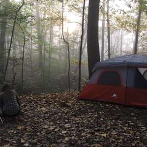 Beautiful misty morning to enjoy. Had lots of deer visitors very early in the morning.