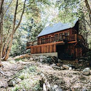 View of the cabin from the creek
