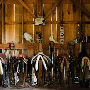 One half of the barn was designated for the horses gear. Everything was so clean and organized!