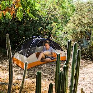 Dome Asylum Front Cactus Garden