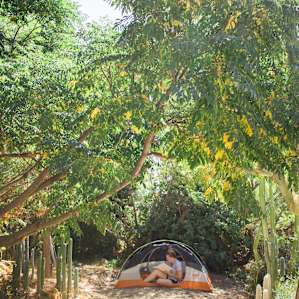 tent forest people