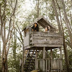 forest people lodging