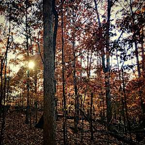Cathedral Caverns Campground