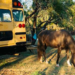 Jay will be a constant companion during your stay at JH Ranch.
