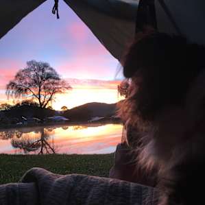 Walnut Hollow Tent Camp