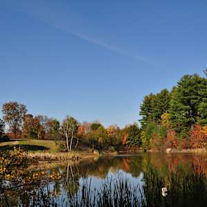 View from the other side of the pond on one of our walks!