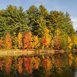 The view from our fire pit! The colors were insane!