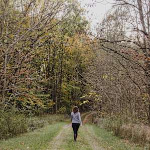 Beautiful driveway heading to the cabin