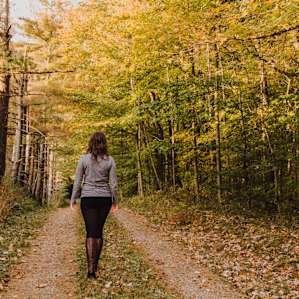forest hiking activity