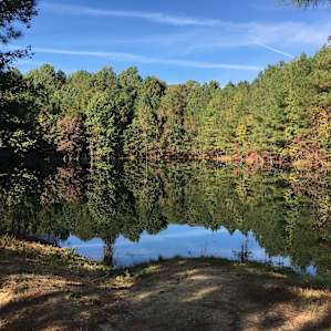 Between the Ponds