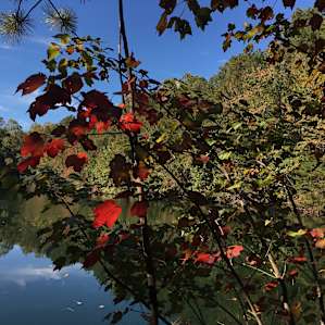 Between the Ponds