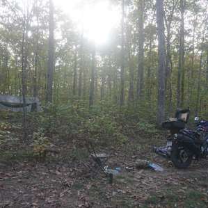 Setting up camp... found a perfect spot where three old trails converged.