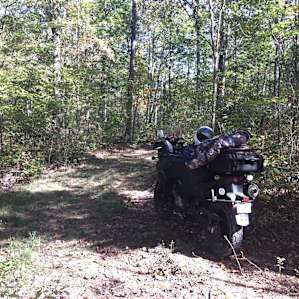 Old logging road.