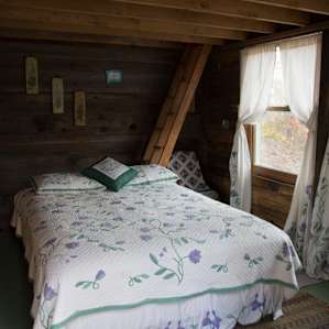 Inside of Hummingbird Haven