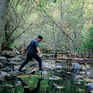 forest water