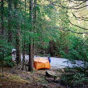 tent forest people