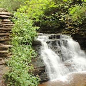The waterfall trail and a fall