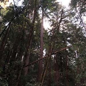 Camp Cruz Glamping Get-Away