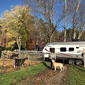 Misty Mountain Farm Camping