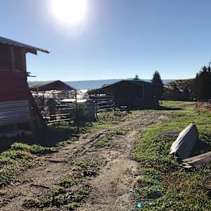 Misty Mountain Farm Camping