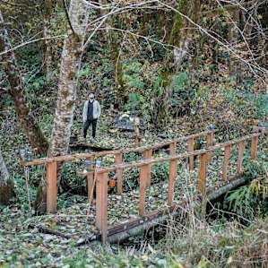 The bridge leading to a great view of the creek and forest.