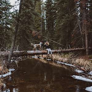 exploring river crossings