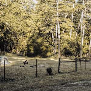 The particular area where we pitched our tent is fenced off with a gate you can open and close - we also picked this spot due to proximity to the already existing firepit.