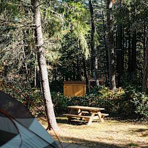 A view of the tent platform, picnic table and bathroom.