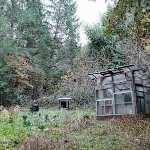 The garden and greenhouse.