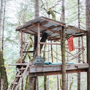 The treehouse, named the "Jolly Roger"!