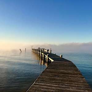 Kitts Marsh on Patuxent River